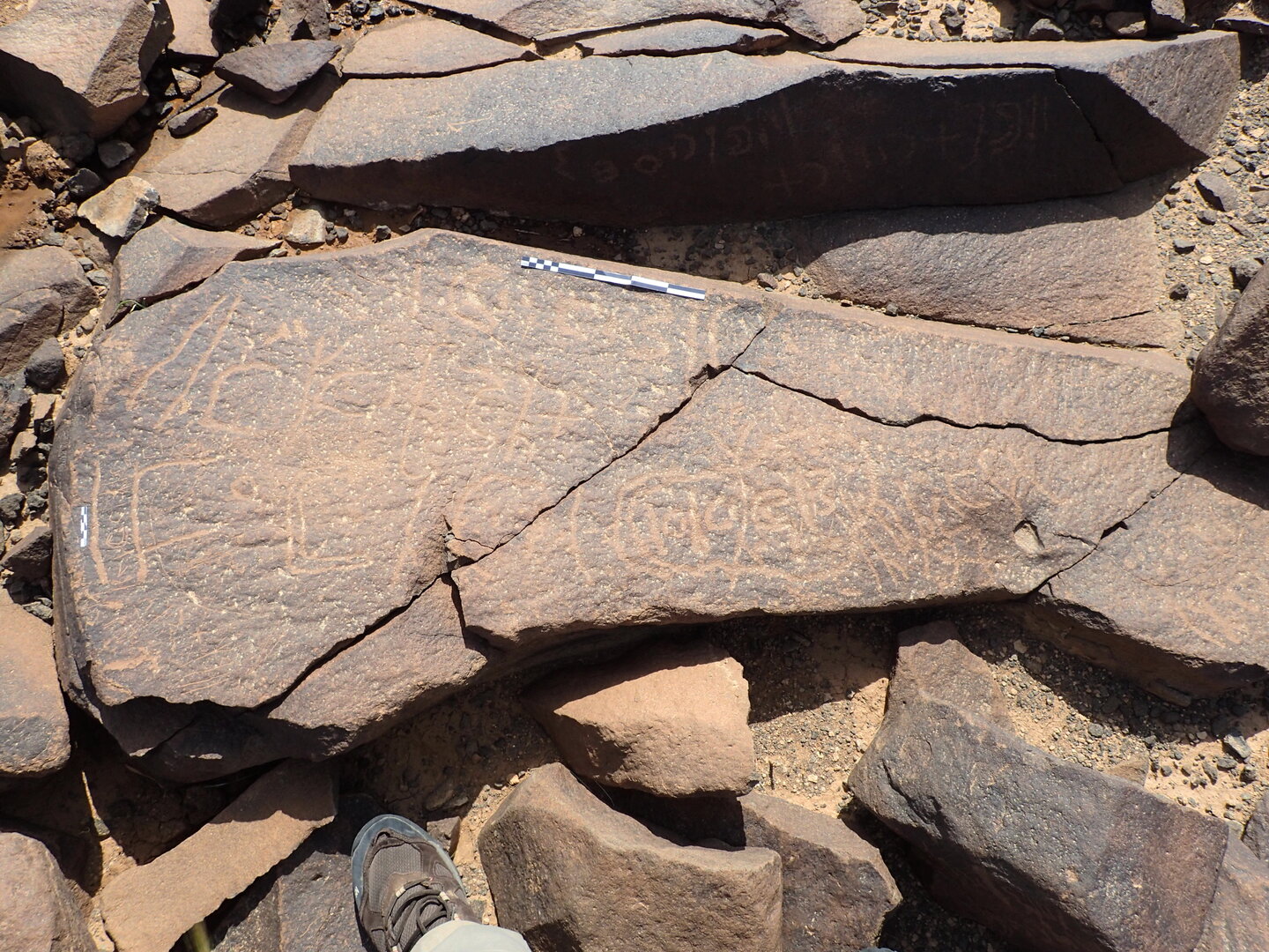 P4220334.jpg