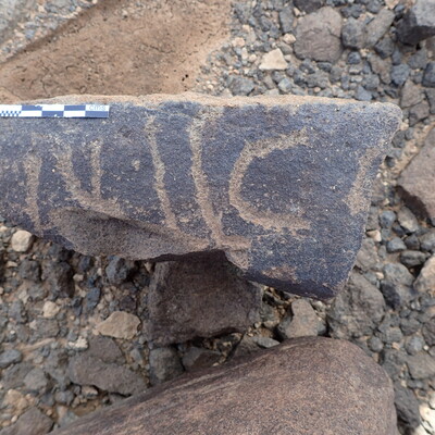 P4220359.jpg