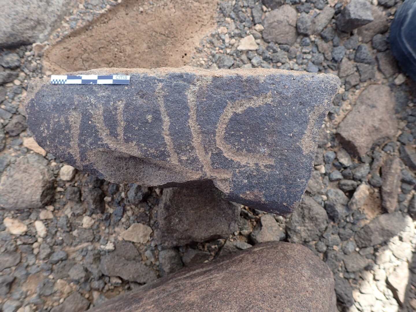 P4220359.jpg