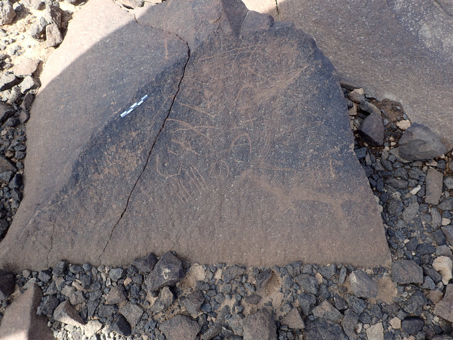 P4220362.jpg