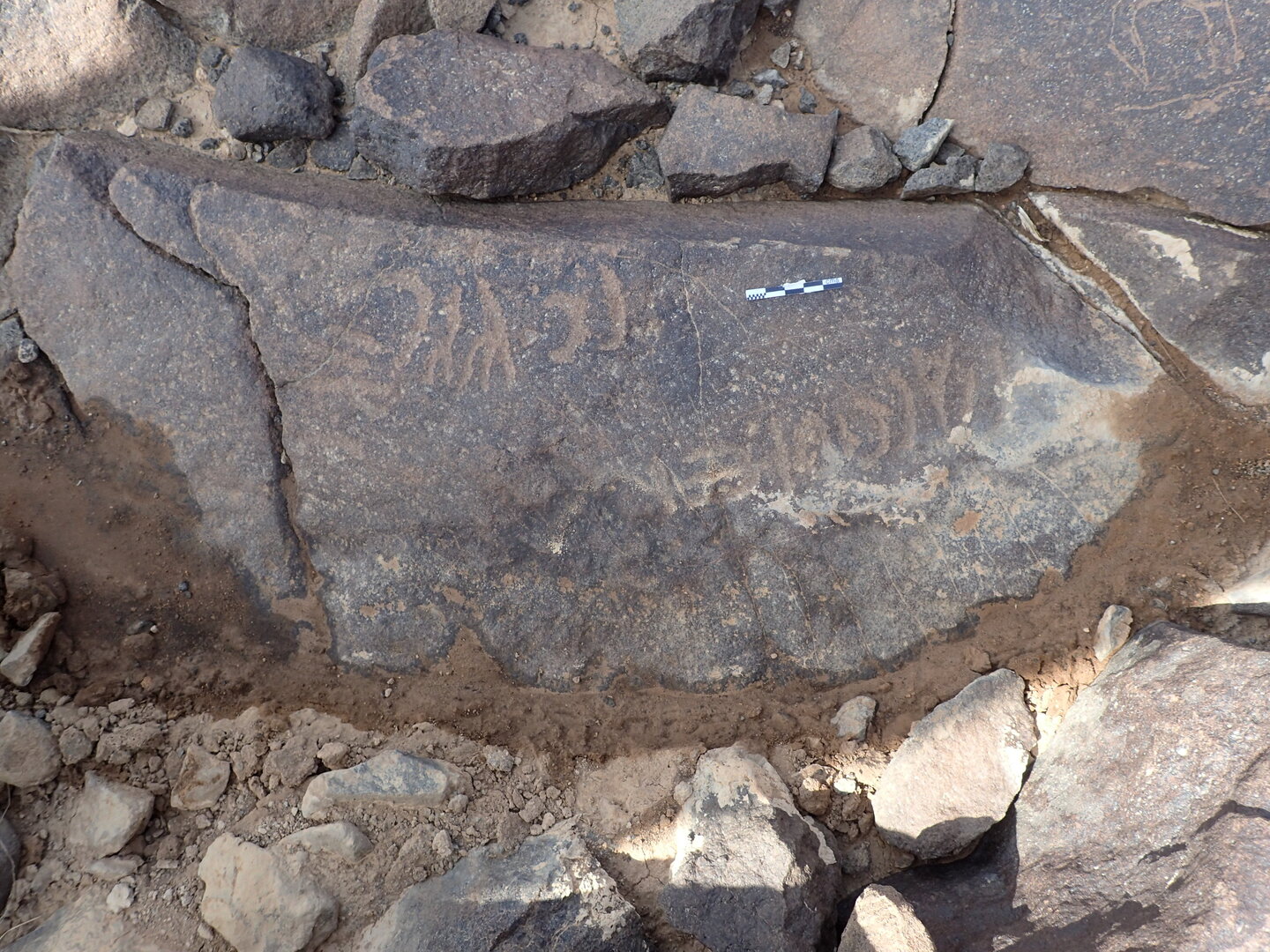 P4220374.jpg