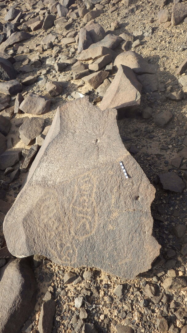 Rimg3402.jpg