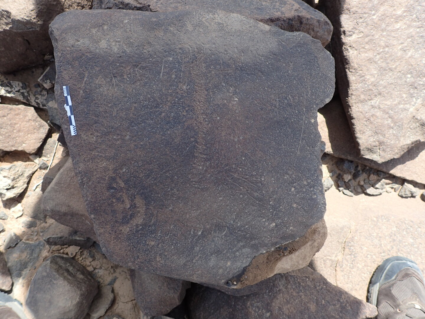 P4220383.jpg