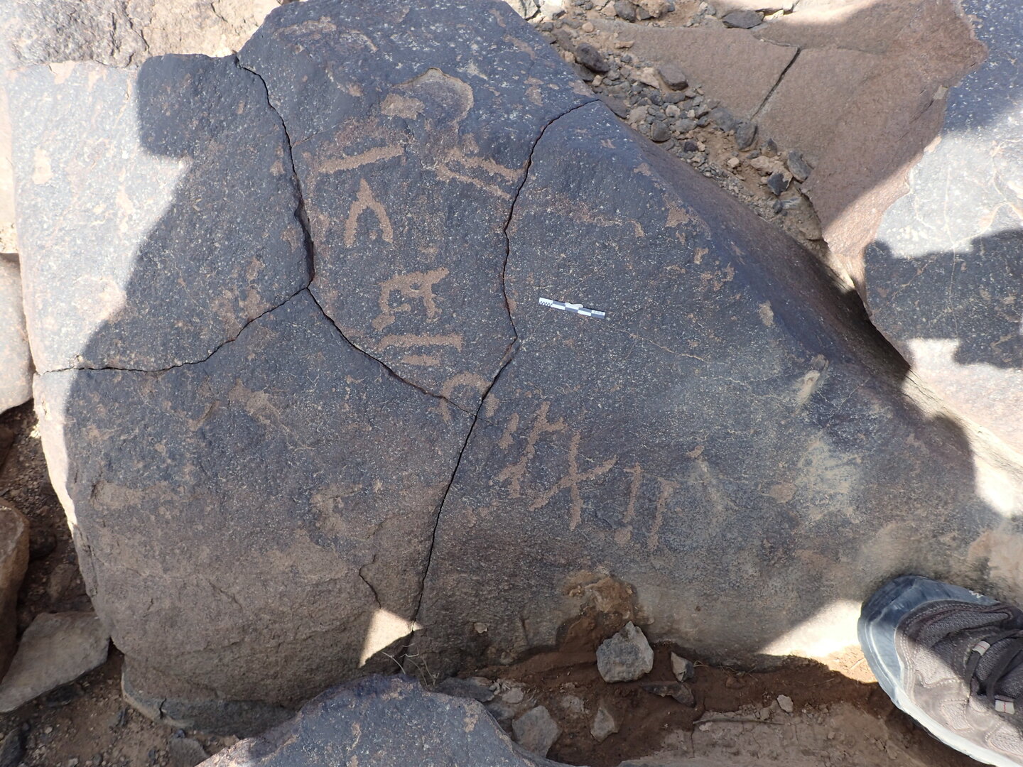 P4220402.jpg