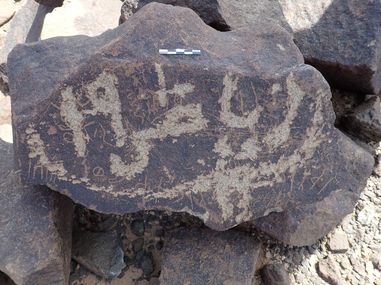 P4220406.jpg