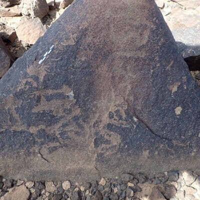 P4220421.jpg