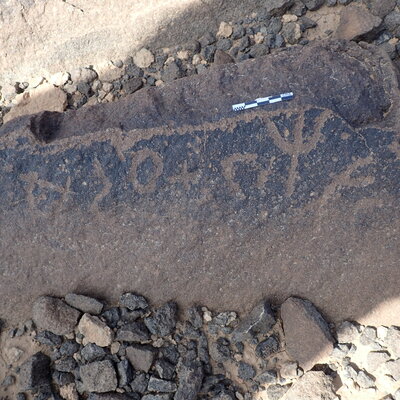 P4220425.jpg