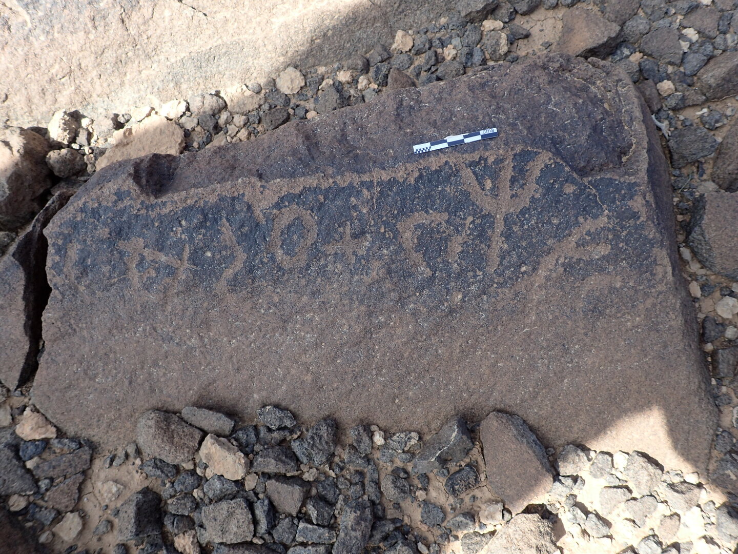 P4220425.jpg