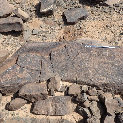P4220427.jpg