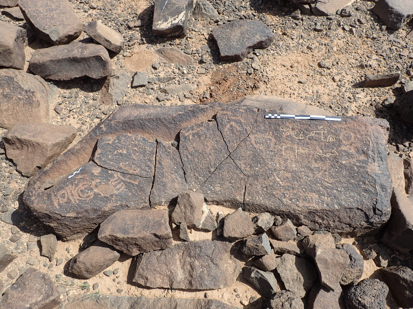P4220427.jpg