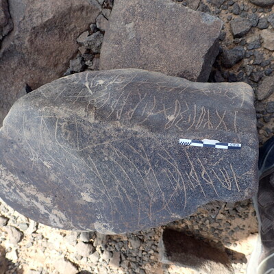 P4220447.jpg