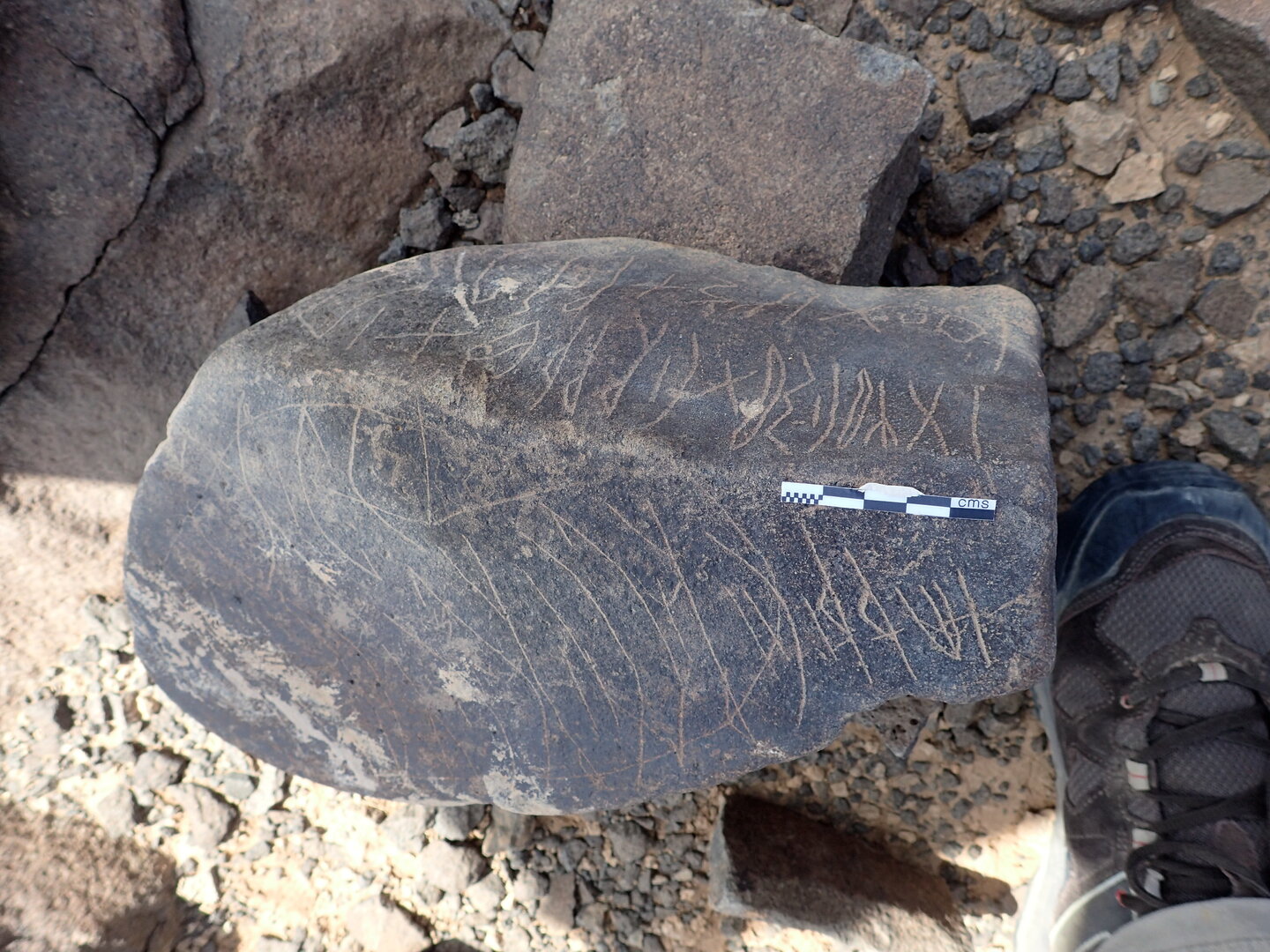 P4220447.jpg