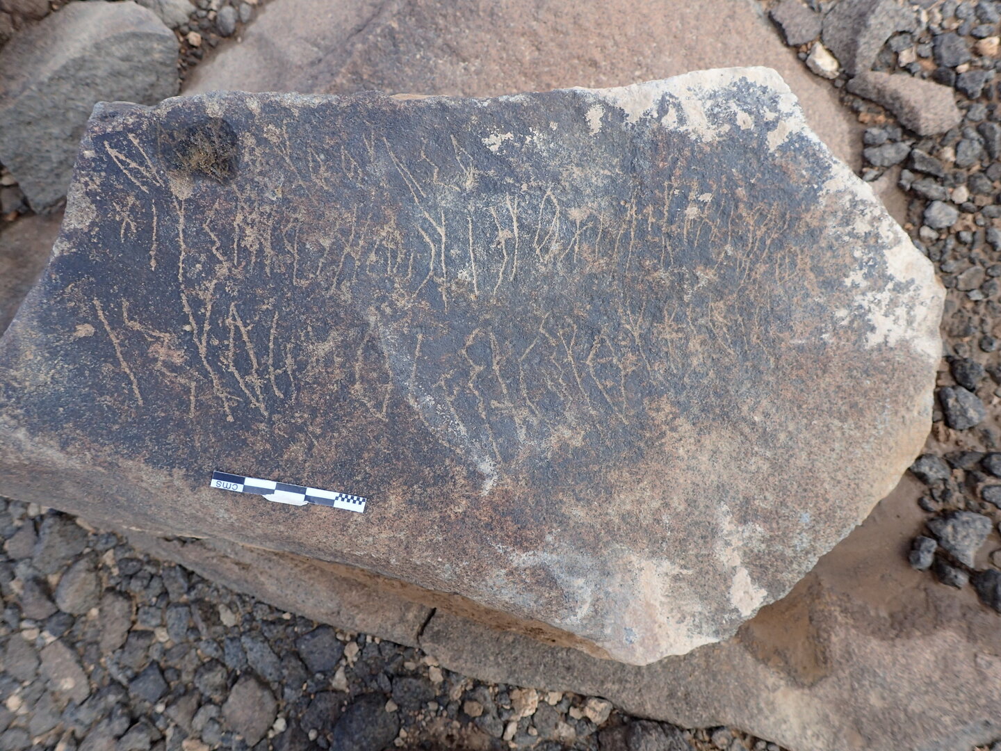 P4220462.jpg