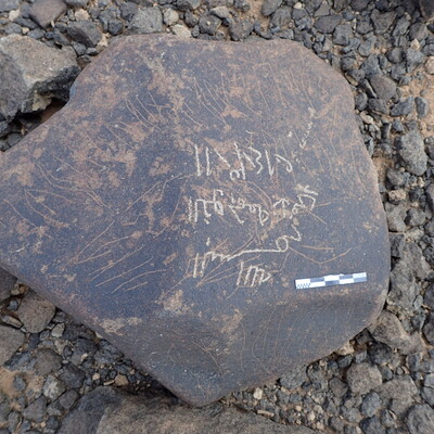 P4220473.jpg