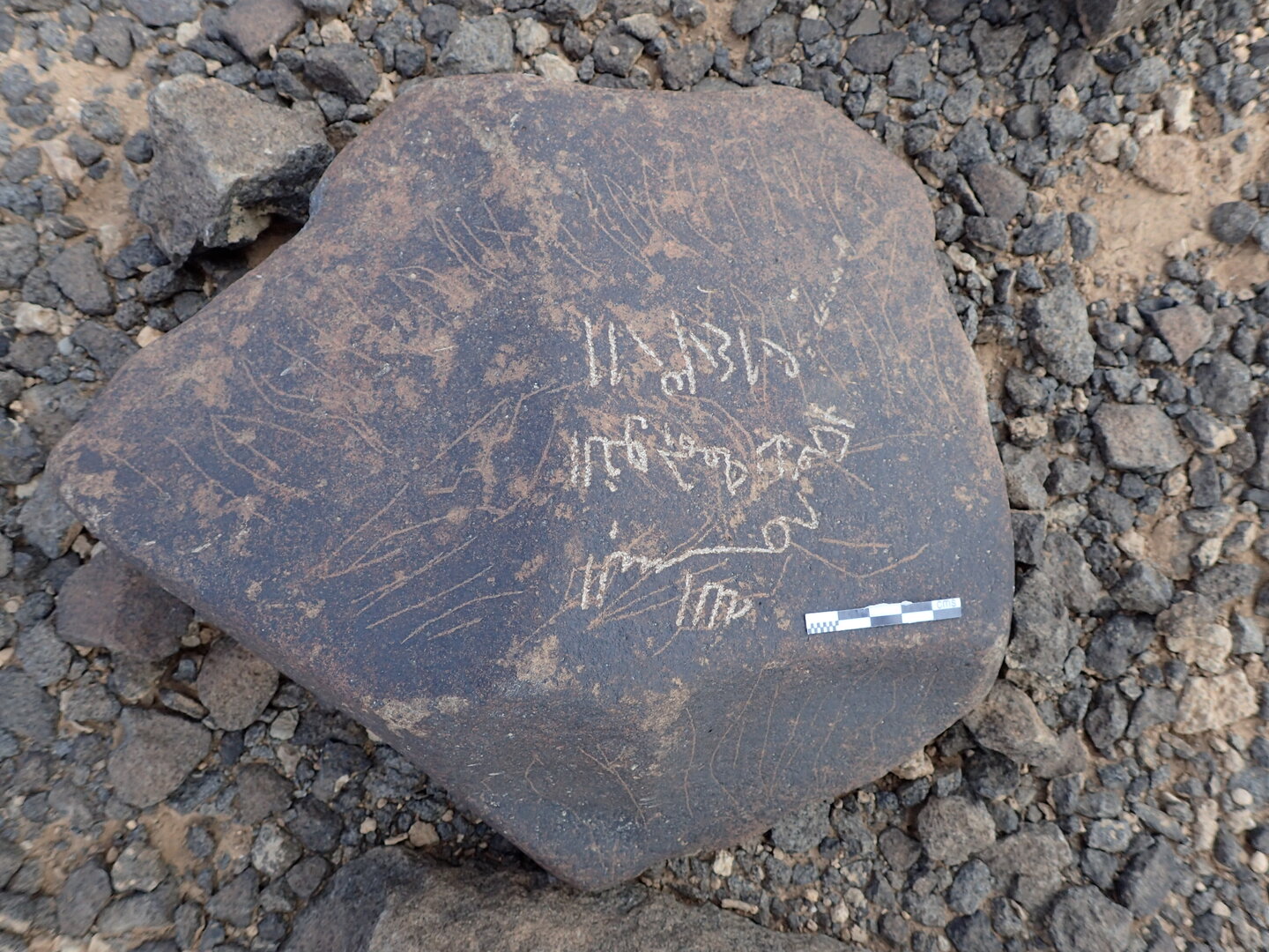 P4220473.jpg