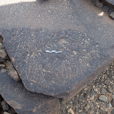 P4220497.jpg