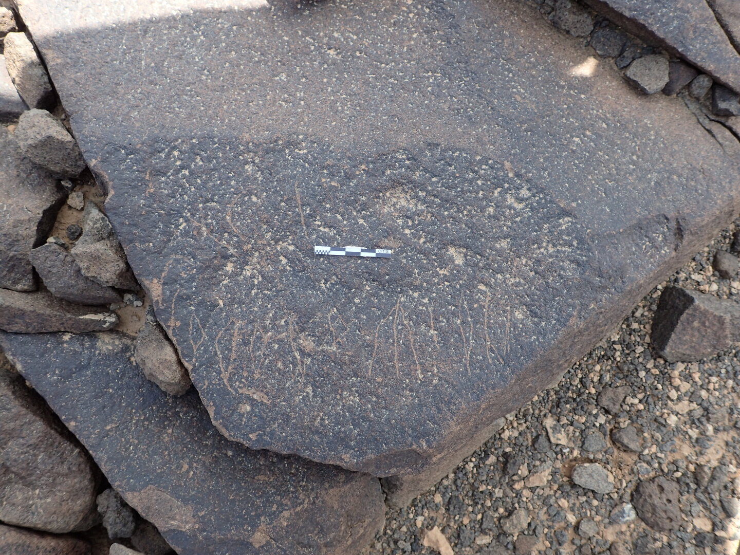 P4220497.jpg