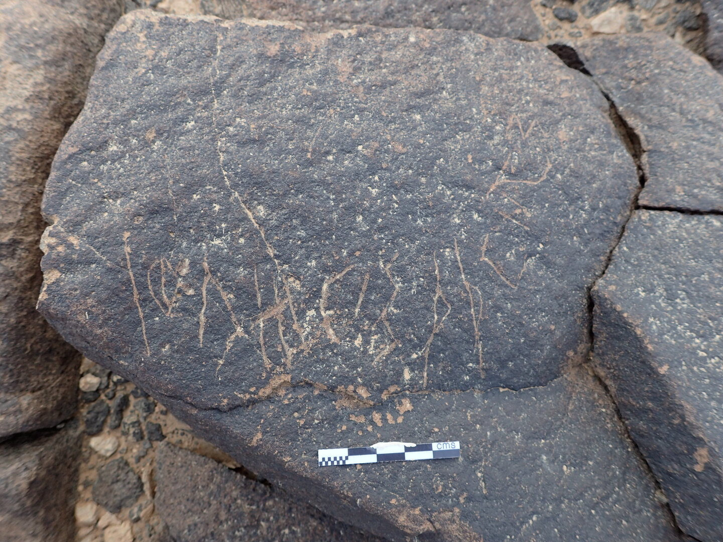 P4220501.jpg