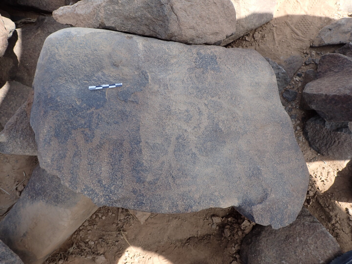 P4220536.jpg