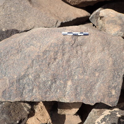 P4220553.jpg