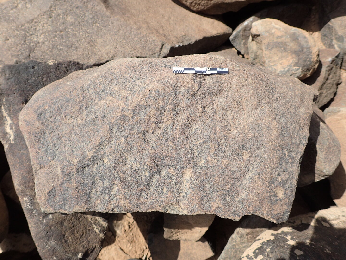 P4220553.jpg