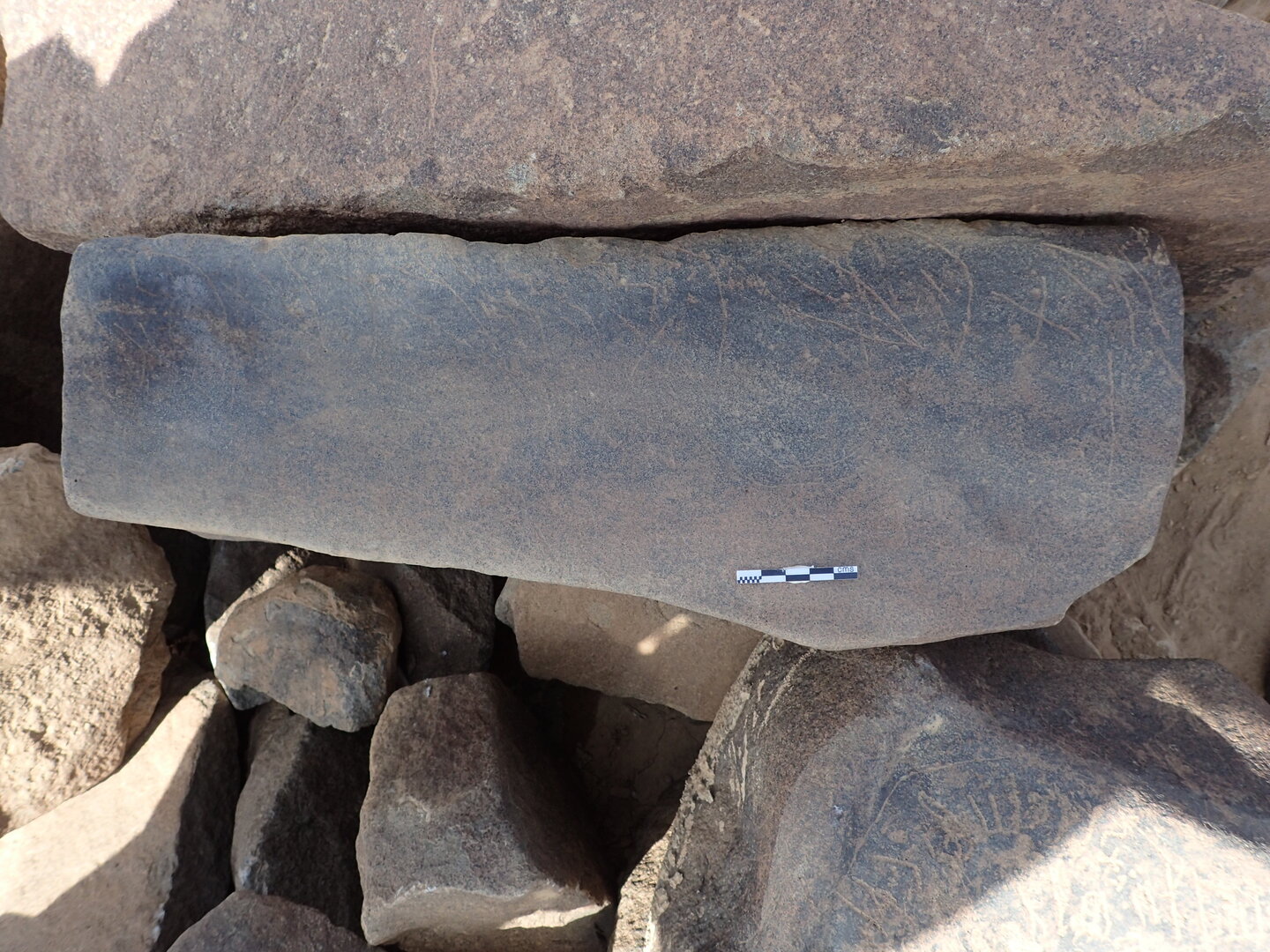 P4220561.jpg