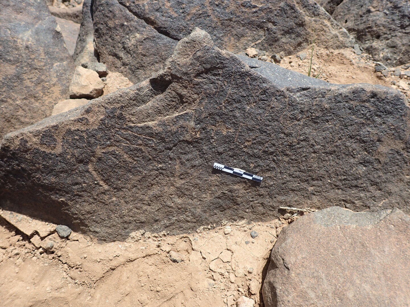 P4220576.jpg