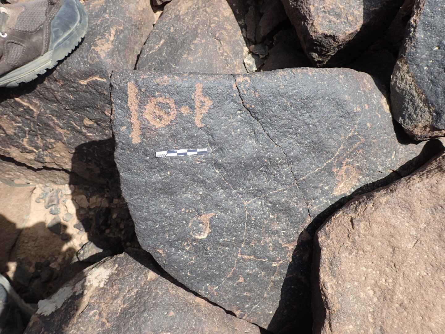 P4220596.jpg