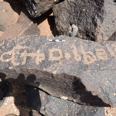P4220622.jpg