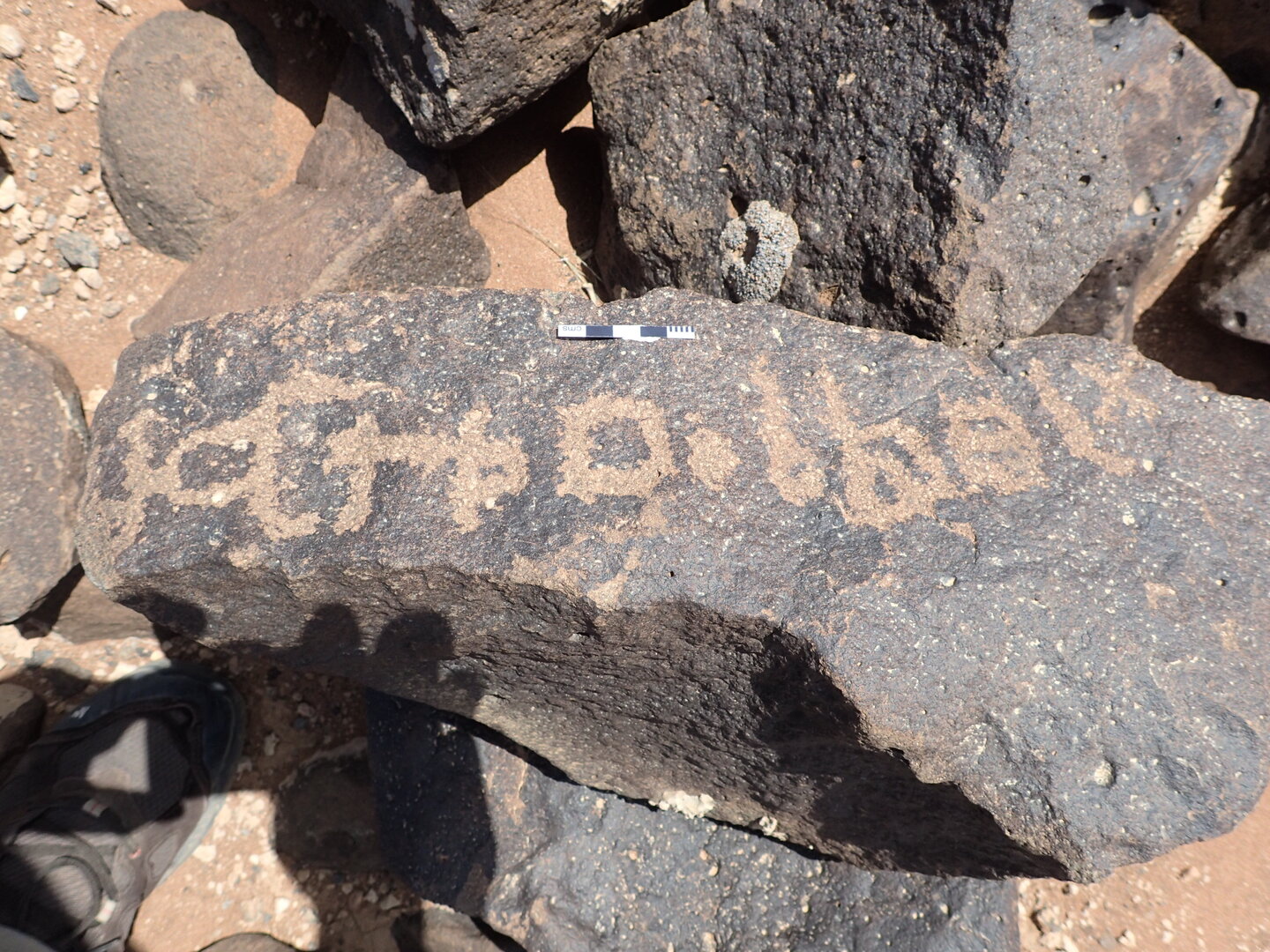 P4220622.jpg
