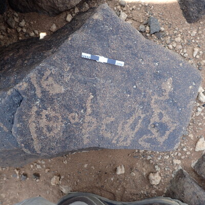 P4220627.jpg