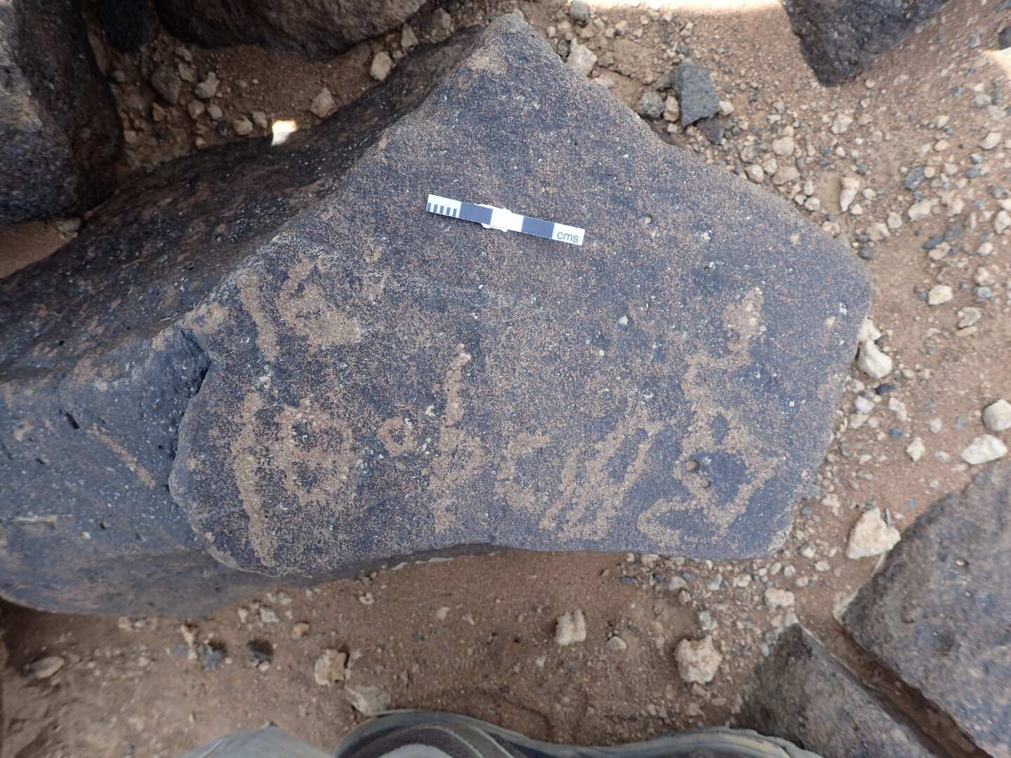 P4220627.jpg