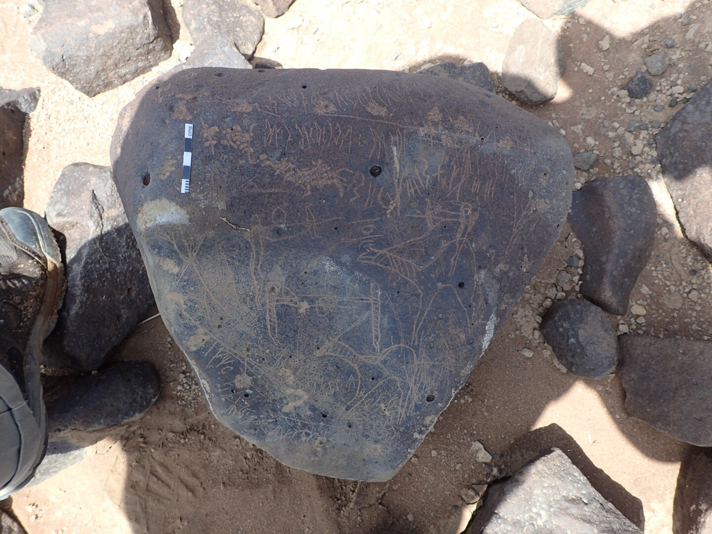 P4220741.jpg