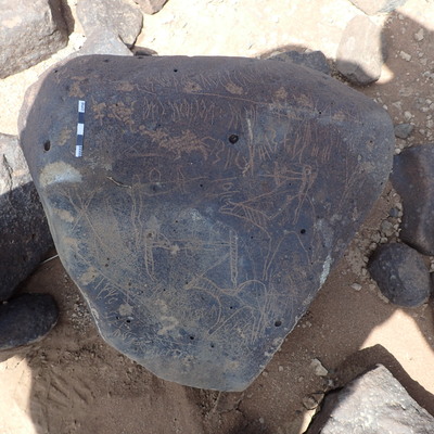 P4220741.jpg