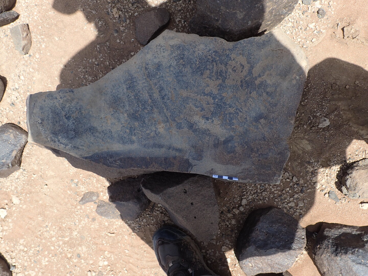 P4220768.jpg