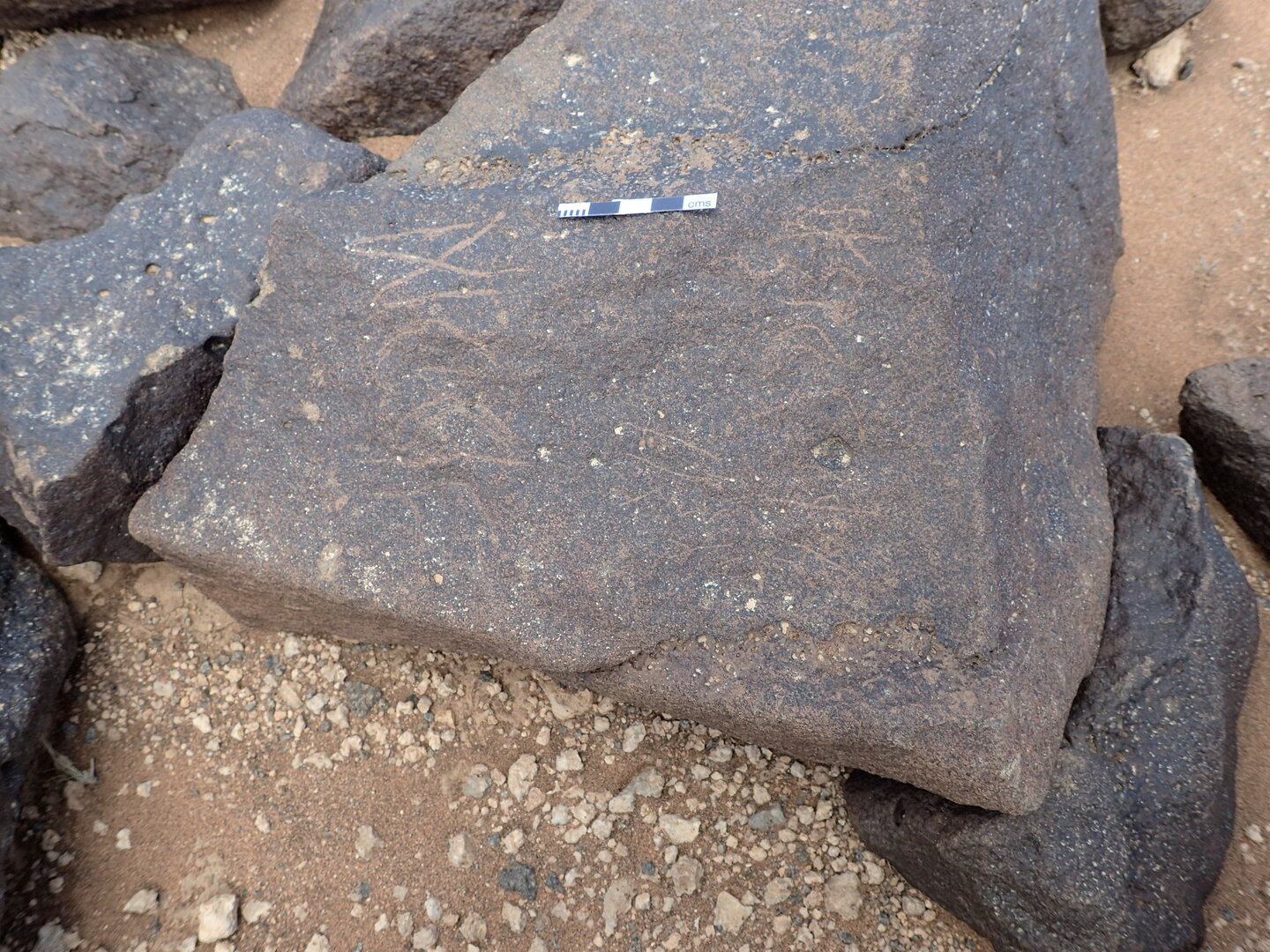 P4220805.jpg