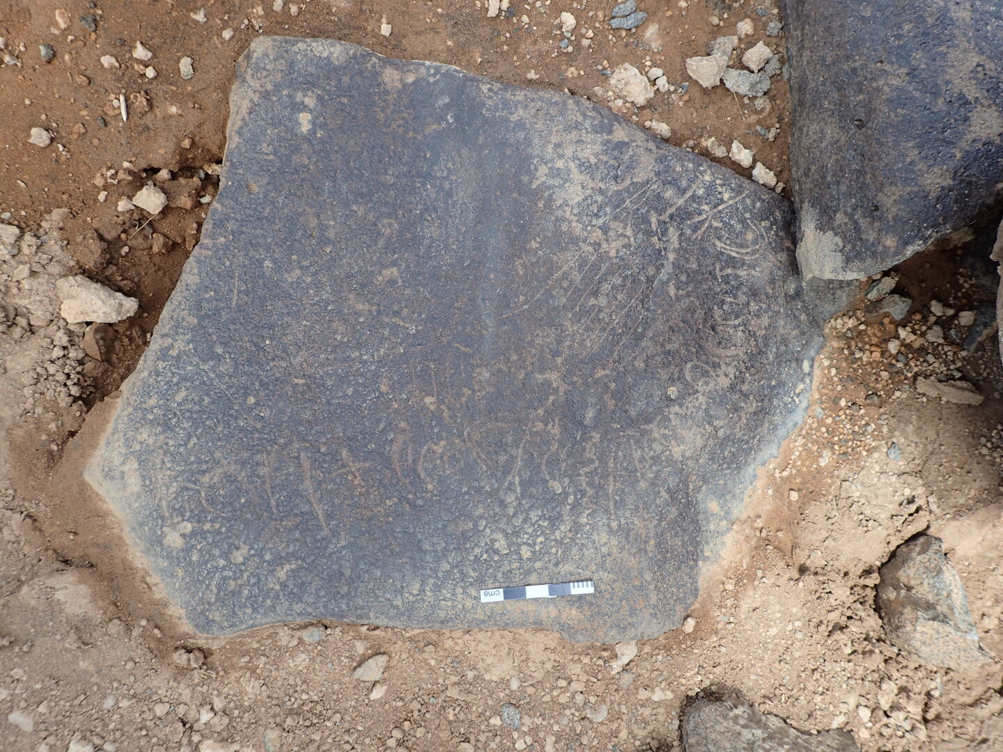 P4220819.jpg