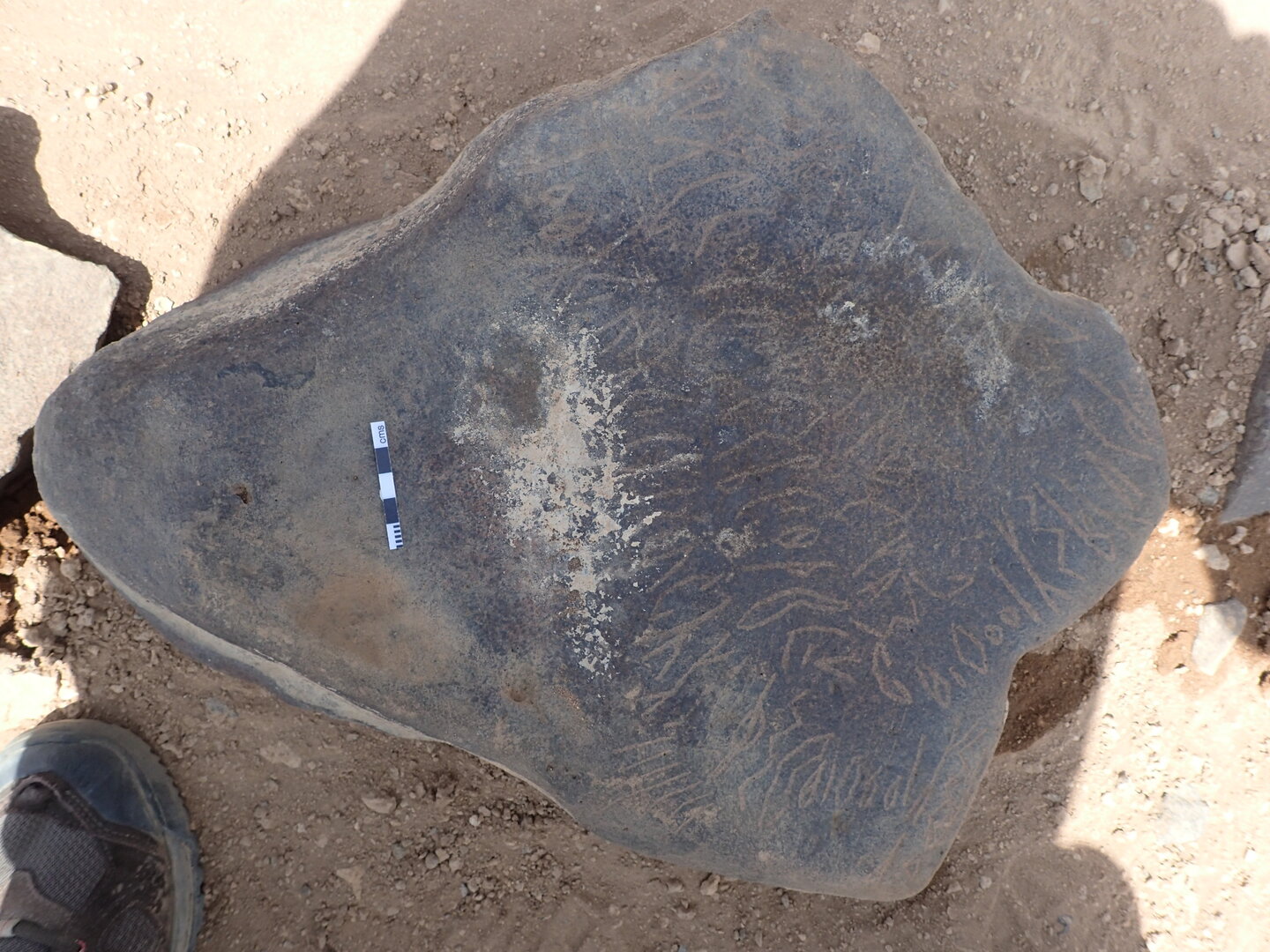 P4220839.jpg