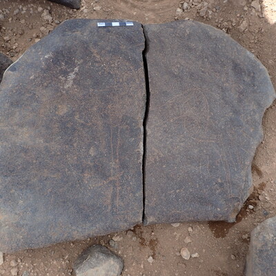 P4220857.jpg