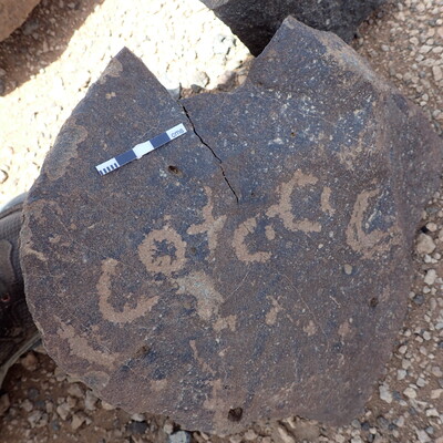 P4220875.jpg