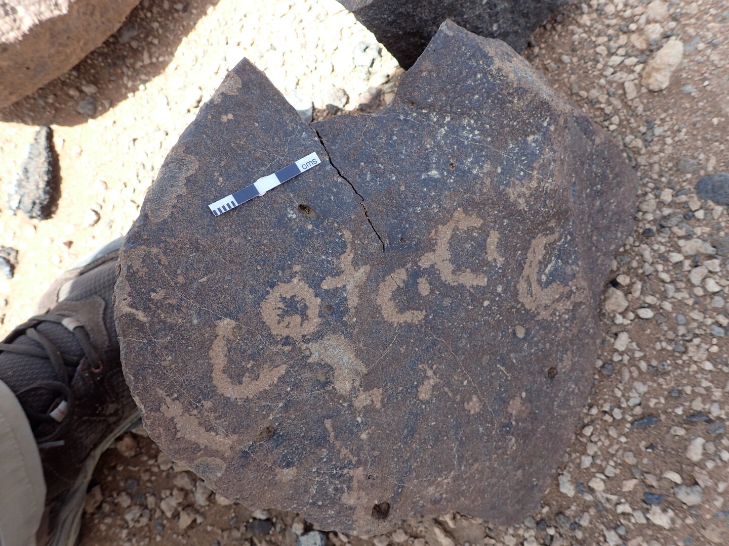 P4220875.jpg