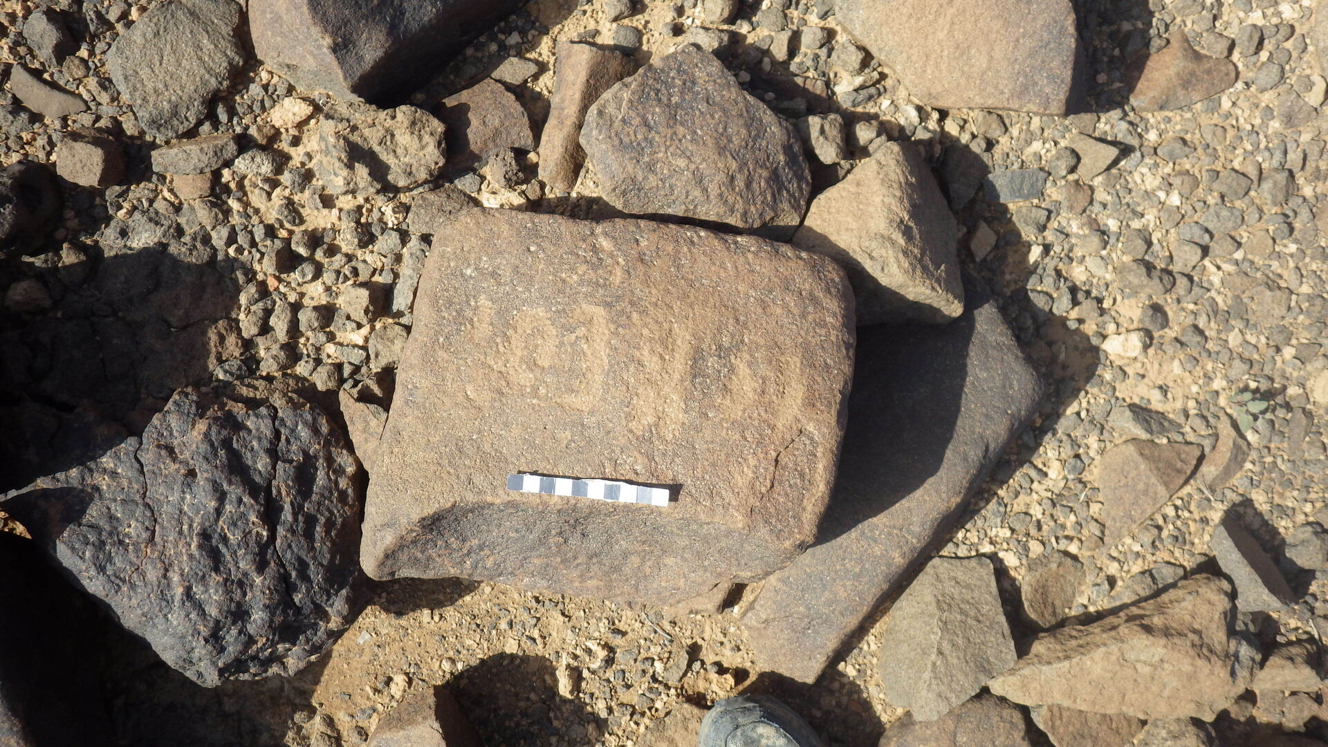Rimg3638.jpg