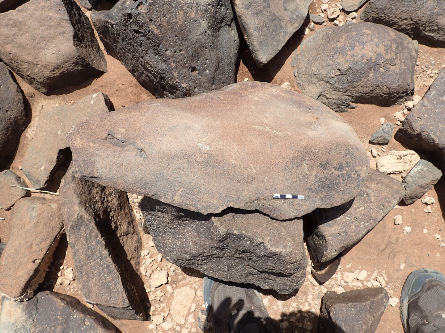P4220889.jpg