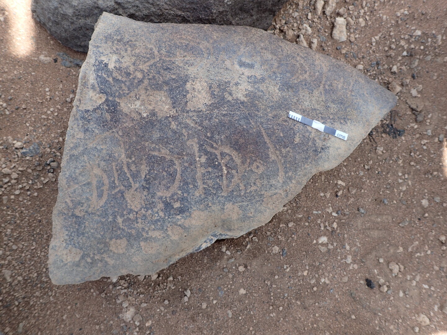 P4220920.jpg