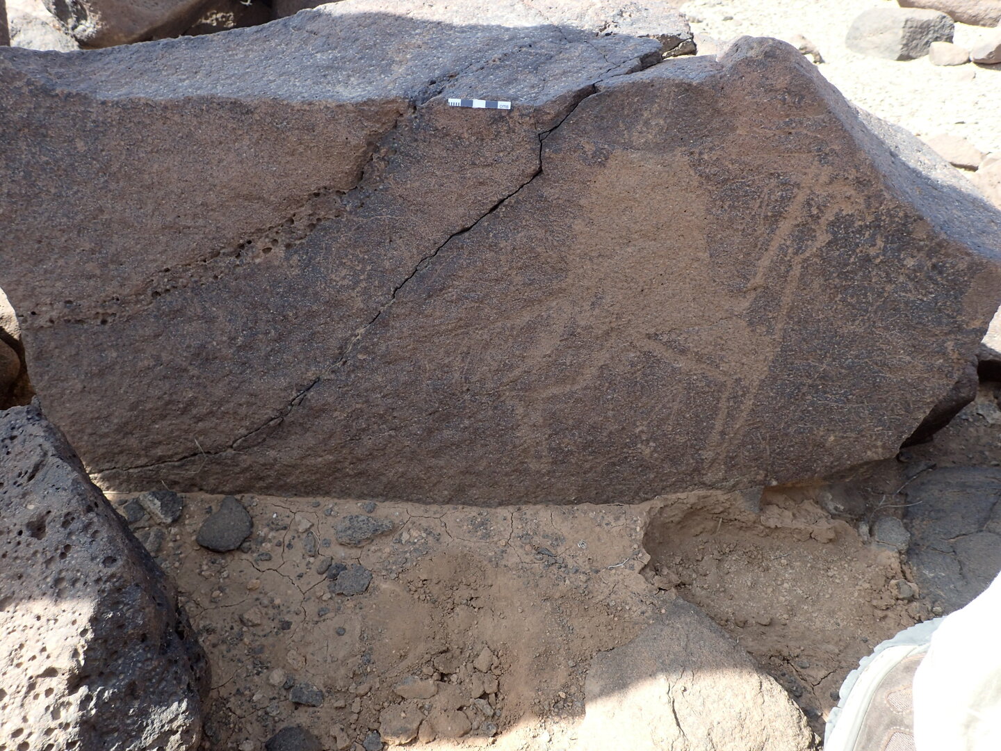 P4220943.jpg