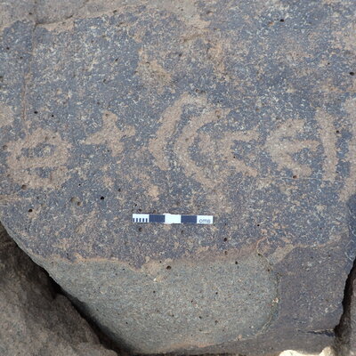 P4220954.jpg