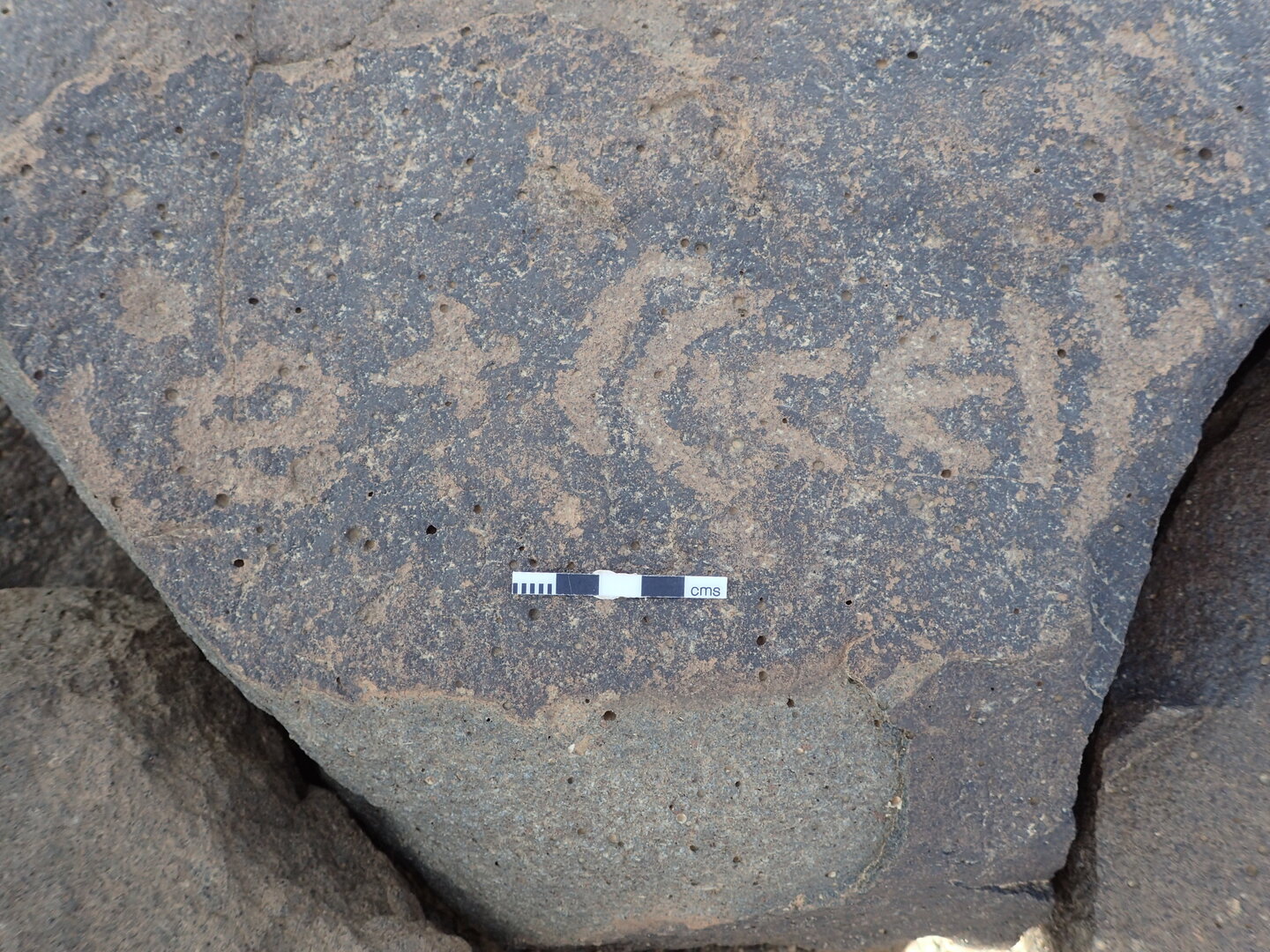 P4220954.jpg