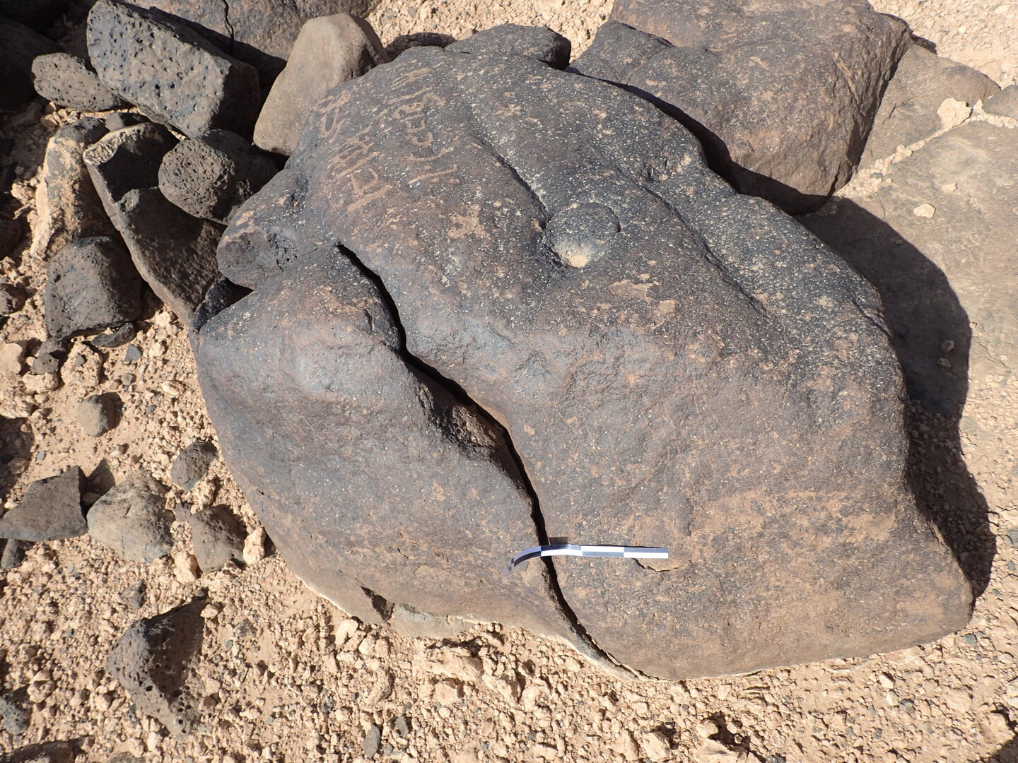 P4220955.jpg