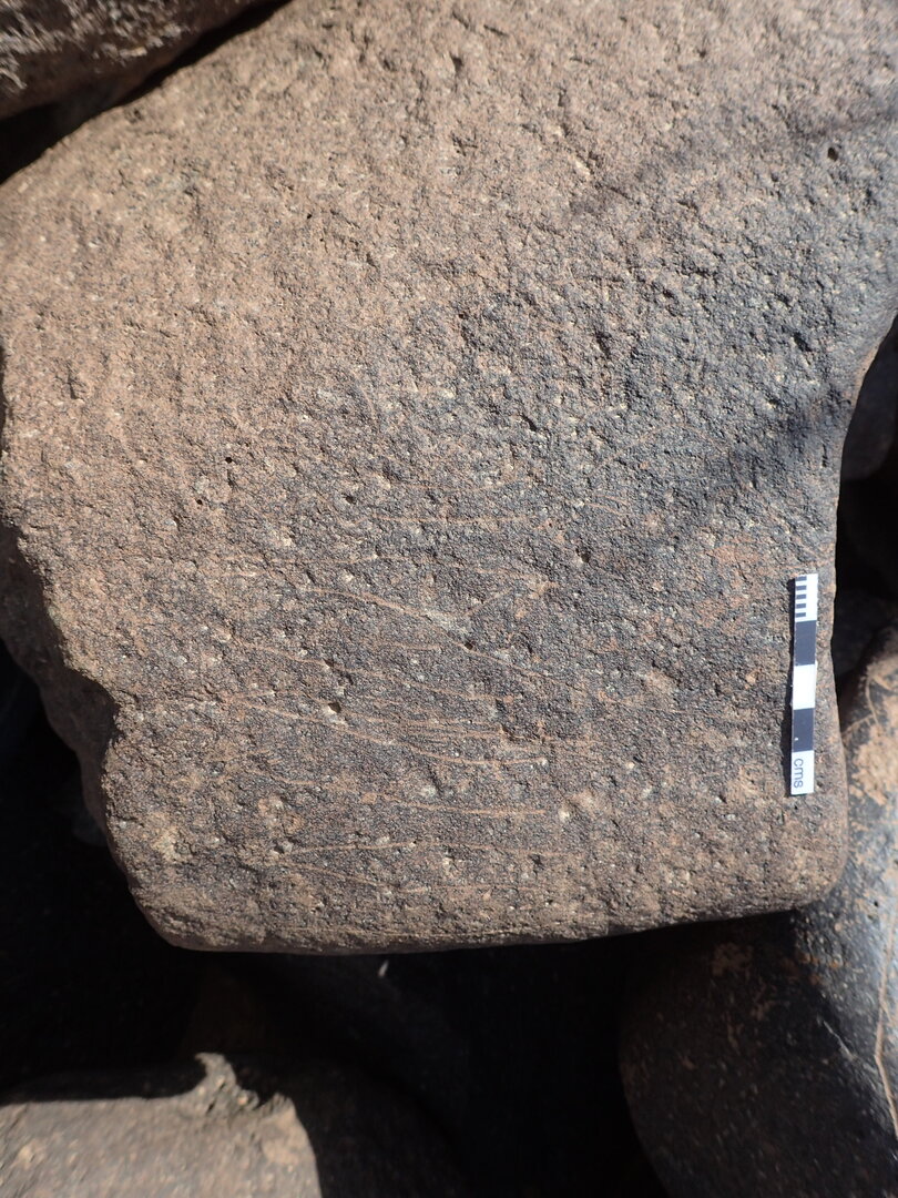 P4220982.jpg