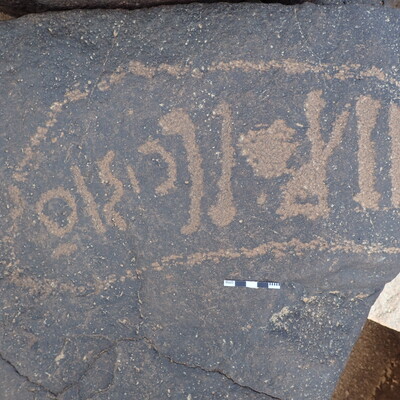 P4221010.jpg